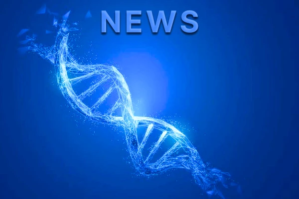 Эксперты обсудили ключевые аспекты нутритивной поддержки пациентов: от диагностики до терапии